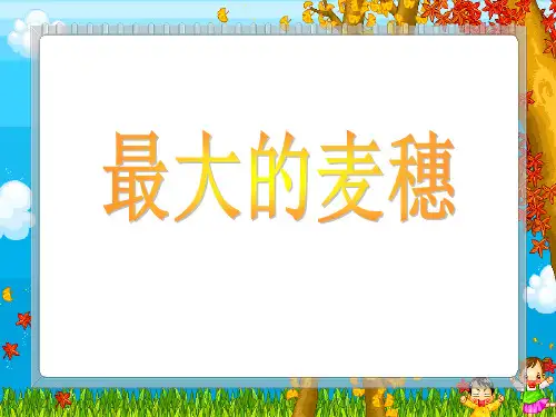 《最大的麦穗》PPT课件