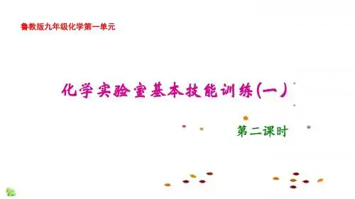 化学实验基本技能训练 (一) (2)课件