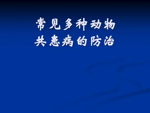 常见多种动物疾病的防治PPT课件