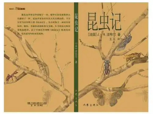 《绿色蝈蝈》课件[免费课件]