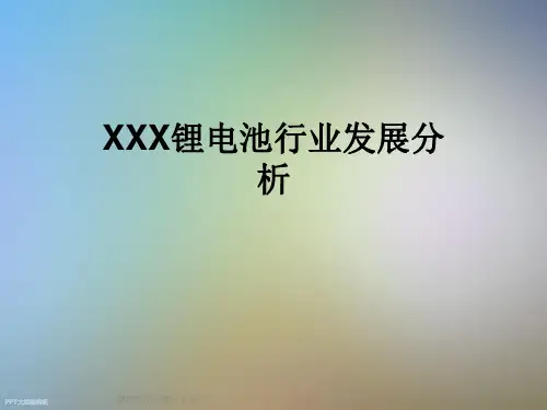 XX锂电池行业发展分析