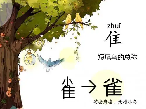 13、隔窗看雀