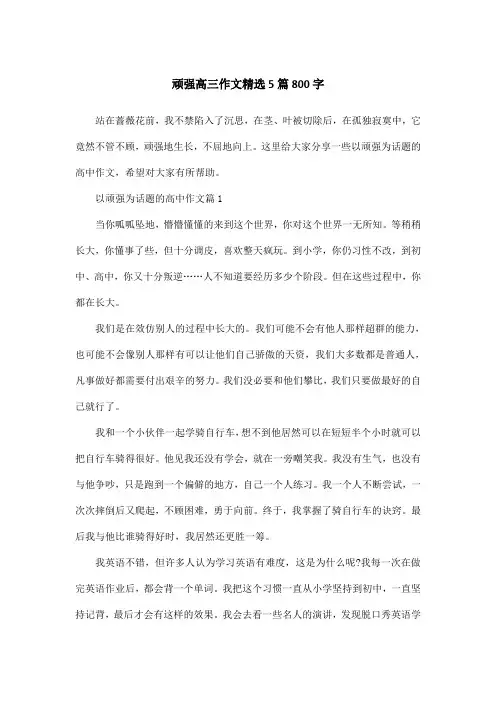 顽强高三作文精选5篇800字