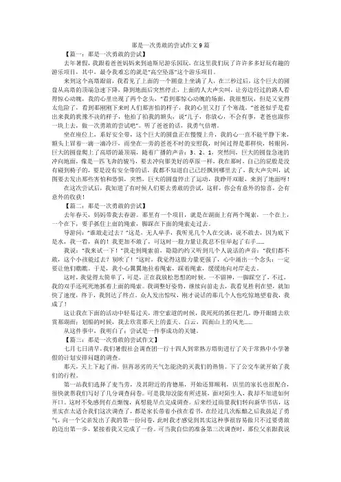 那是一次勇敢的尝试作文9篇