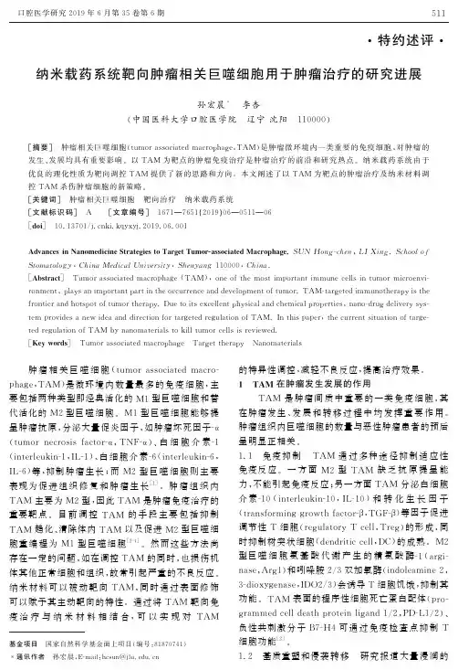纳米载药系统靶向肿瘤相关巨噬细胞用于肿瘤治疗的研究进展