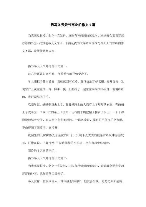 描写冬天天气寒冷的作文5篇 2