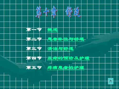 舒适的卧位与安全