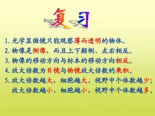 第二节植物细胞