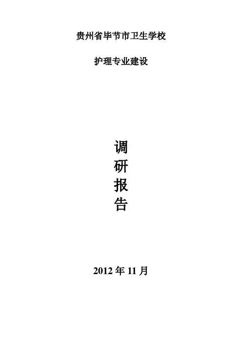 调研报告1