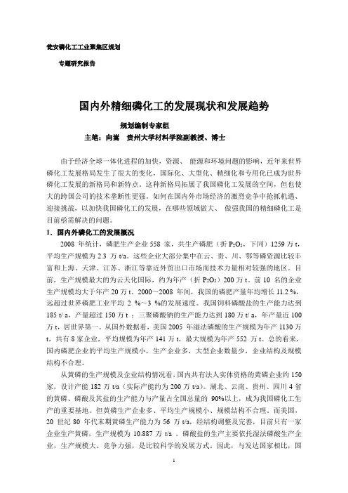 我国精细磷化工的现状及发展思路