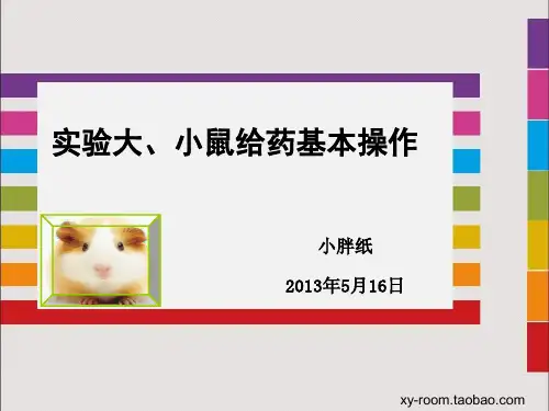 大小鼠给药基本操作