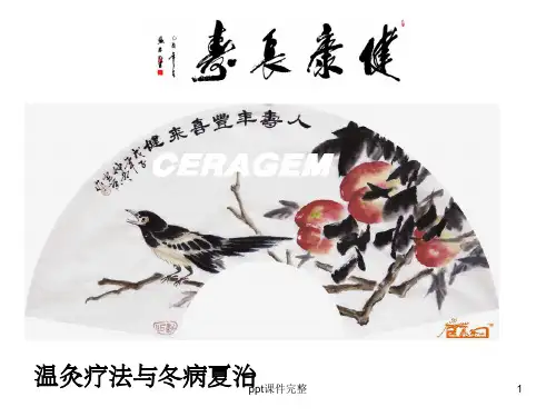 冬病夏治.1ppt课件