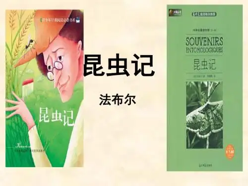 河南专版2018年秋八年级语文上册第五单元昆虫记课件新人教版