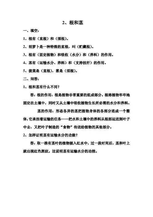 2、根和茎
