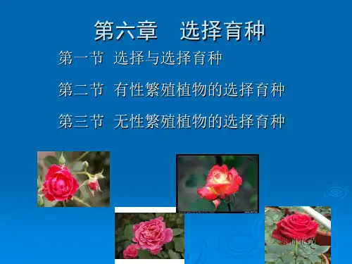 第五章 选择育种