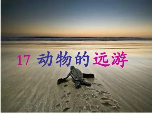 17动物的远游ppt.