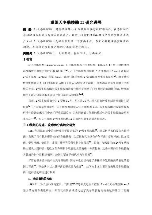 重组门冬酰胺酶II的表达及制备