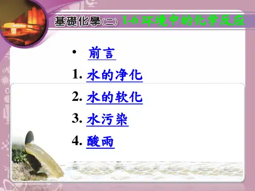 常见的化学反应-环境中的化学反应