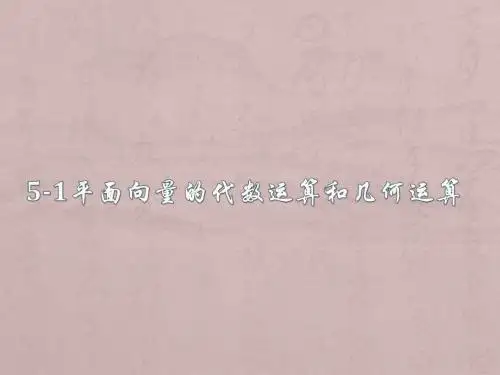 5-1平面向量的代数