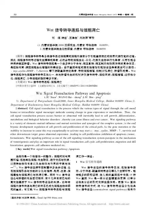 Wnt信号转导通路与细胞凋亡