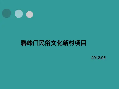 碧峰门民俗文化新村项目