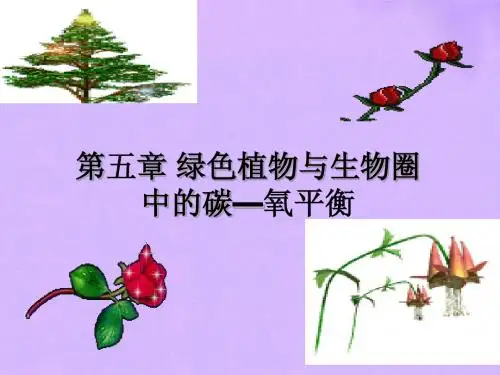 _绿色植物与生物圈中的碳—氧平衡_人教新课标版