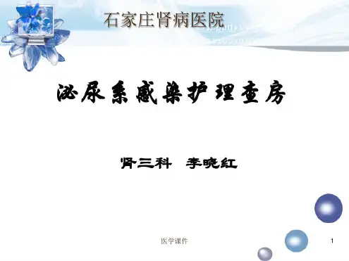 泌尿系感染护理查房PPT