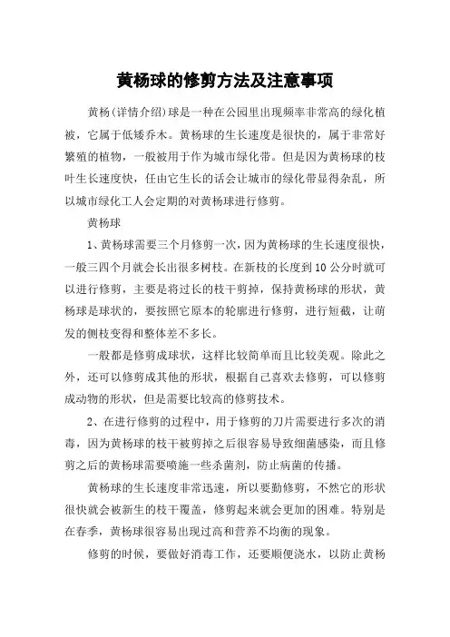 黄杨球的修剪方法及注意事项