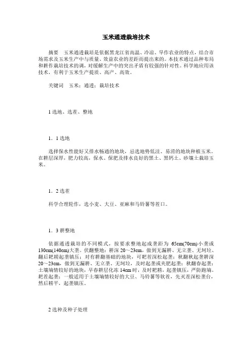 玉米通透栽培技术