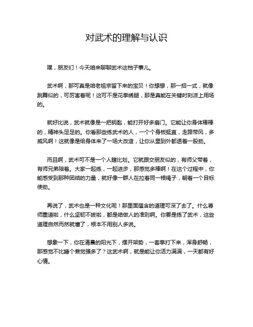 对武术的理解与认识