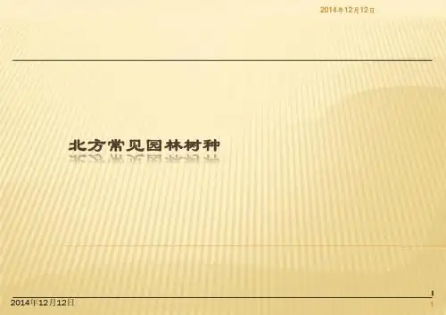 北方常见园林树种