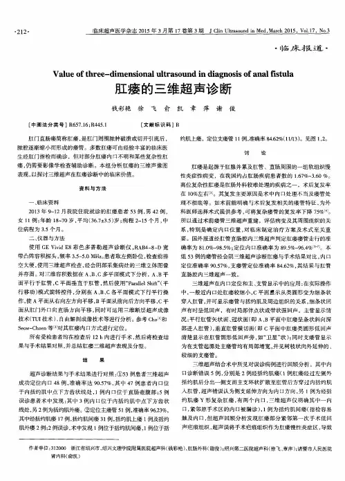 肛瘘的三维超声诊断