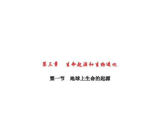 人教版生物八下第一节地球上生命的起源