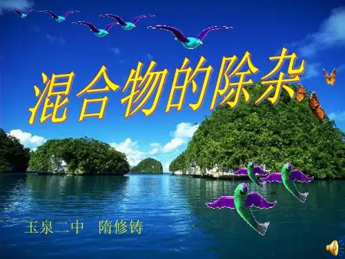 除杂课件