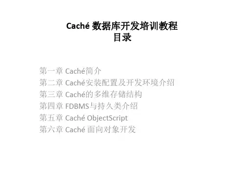 Caché 数据库开发培训教程