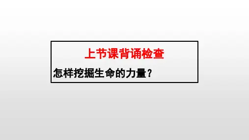 人教版道德与法治七年级上册 10.1 感受生命的意义 课件(共25张PPT)