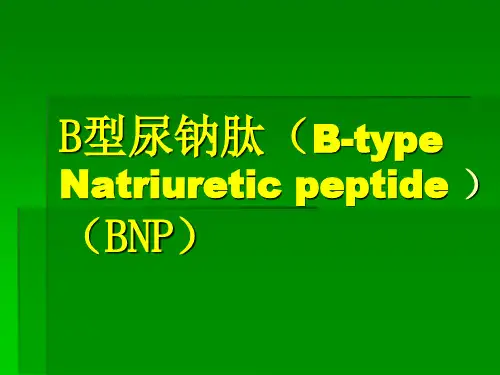 B型钠尿肽的临床意义