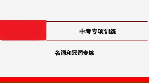 2020中考人教英语二轮专项训练-名词和冠词专练 (共31张PPT)