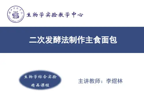 (普通面粉,黄色起酥油)二次和面法制作主食面包解析