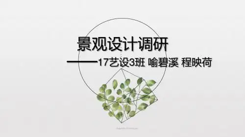 景观调研
