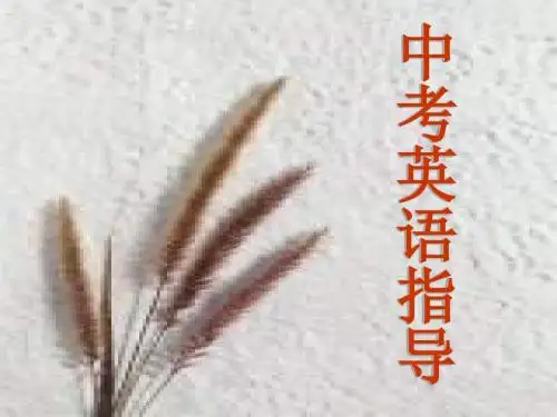 中考英语指导--新目标