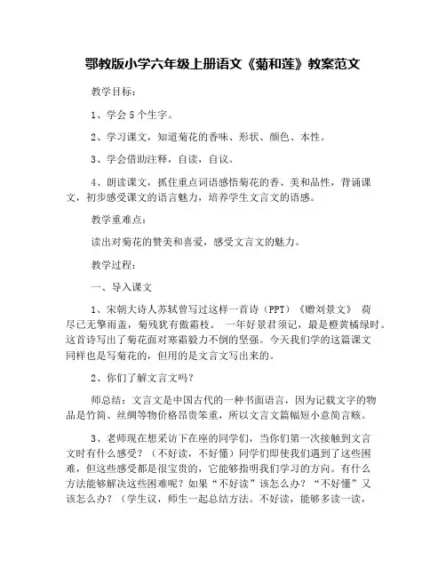 鄂教版小学六年级上册语文《菊和莲》教案范文