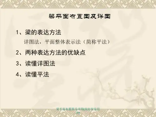 梁平面布置图及详图(很好很实用的)