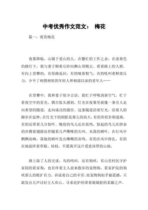 中考优秀作文范文： 梅花