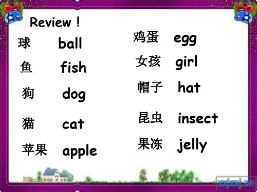 新概念入门级 A unit 3
