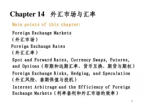 第14章 外汇市场与汇率