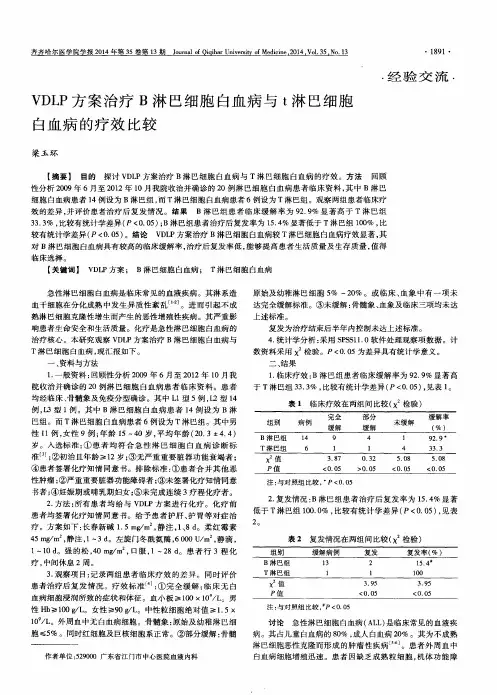VDLP方案治疗B淋巴细胞白血病与t淋巴细胞白血病的疗效比较