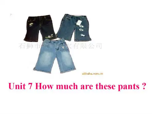 七年级英语How-much-are-these-pants课件2