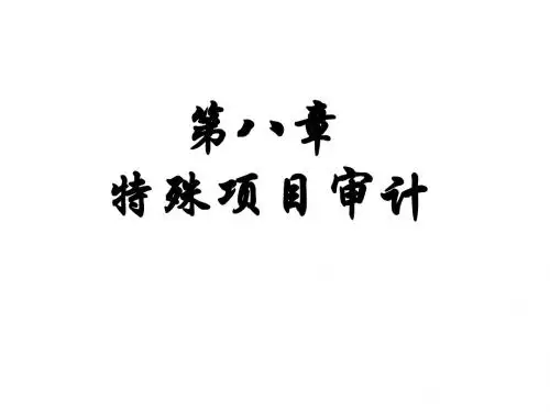 第八章 特殊项目审计