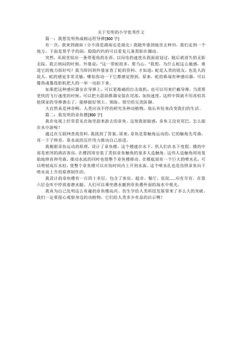 关于发明的小学优秀作文